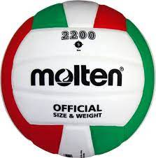 Tournament-Ready Molten Volleyball