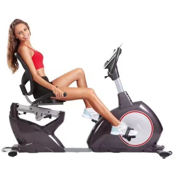 Stationary Exercise Bike with Seat and Back Support