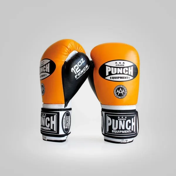 BOXING & MARTIAL ARTS