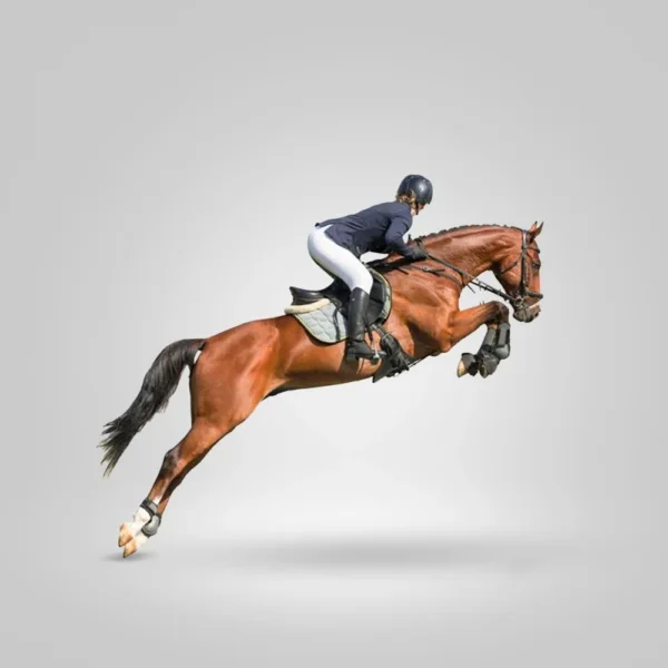 HORSE RIDING